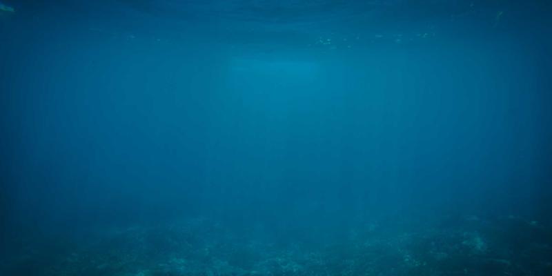 分布式光伏赋能工业园区微电网：清洁技术与商业模式的创新融合