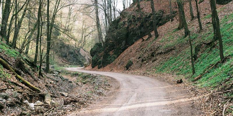 可再生能源制氨：绿氢载体如何重塑农业与能源存储的可持续发展未来
