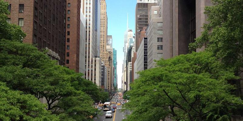 生物质能热电联产：解锁农林废弃物资源化与区域供暖的绿色循环