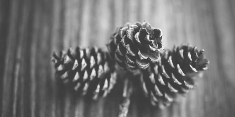 绿色氢能冶金：钢铁行业低碳转型的技术路线与成本竞争力深度解析