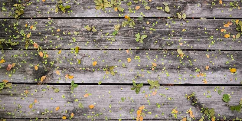 绿色电力证书（GEC）赋能企业碳中和：太阳能与风能采购实践深度解析