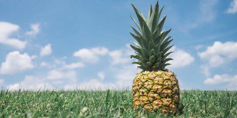 绿色能源进阶：从太阳能到系统性环保解决方案的可持续发展之路