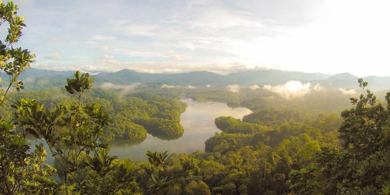 绿色能源：风能如何引领环保解决方案的未来