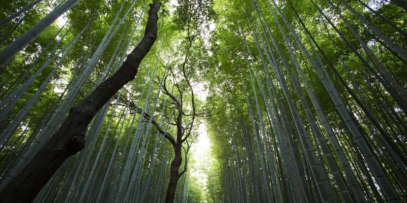 退役风机叶片回收技术深度解析：热解与机械回收工艺对比