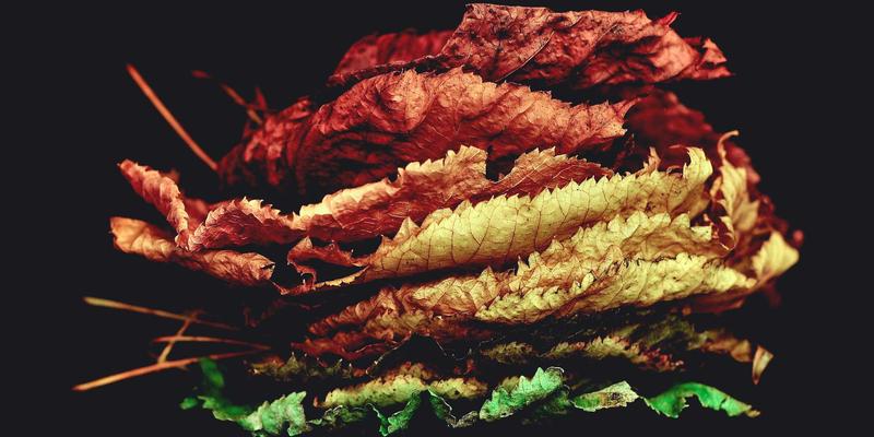 风能太阳能高比例接入下，电力系统如何保持稳定？需求响应与燃气调峰的协同之道